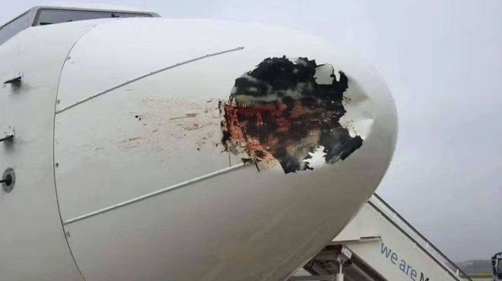 imagem de bird strike no radome da aeronave