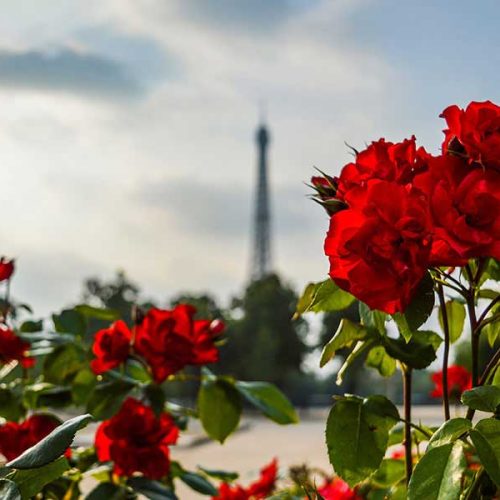 Cargas aéreas urgentes