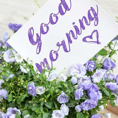 Federal Express U.S.A.