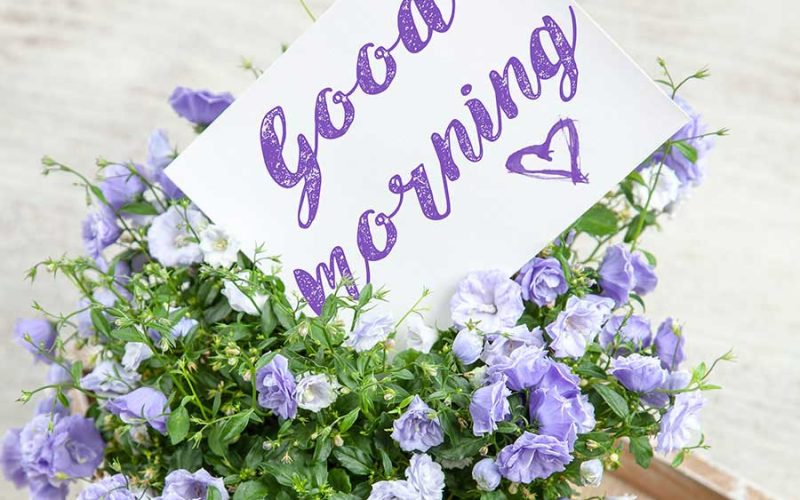 Federal Express U.S.A.