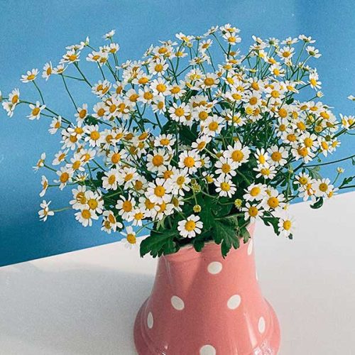 UPS – United Parcel Service