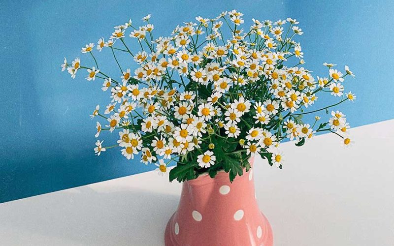 UPS – United Parcel Service